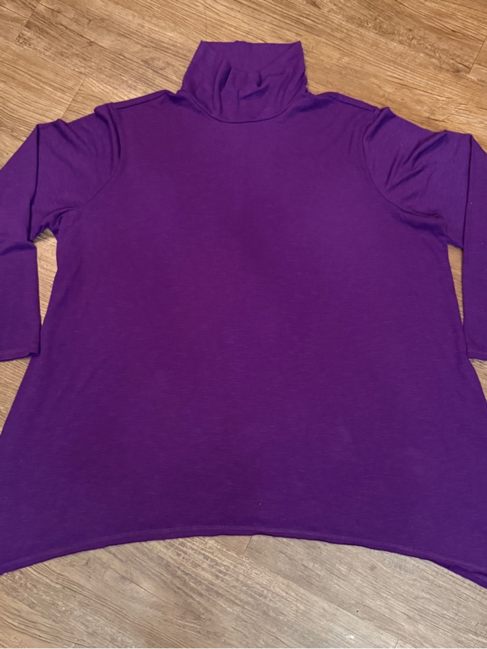 Terra & Sky Deep Purple Turtleneck Pullover